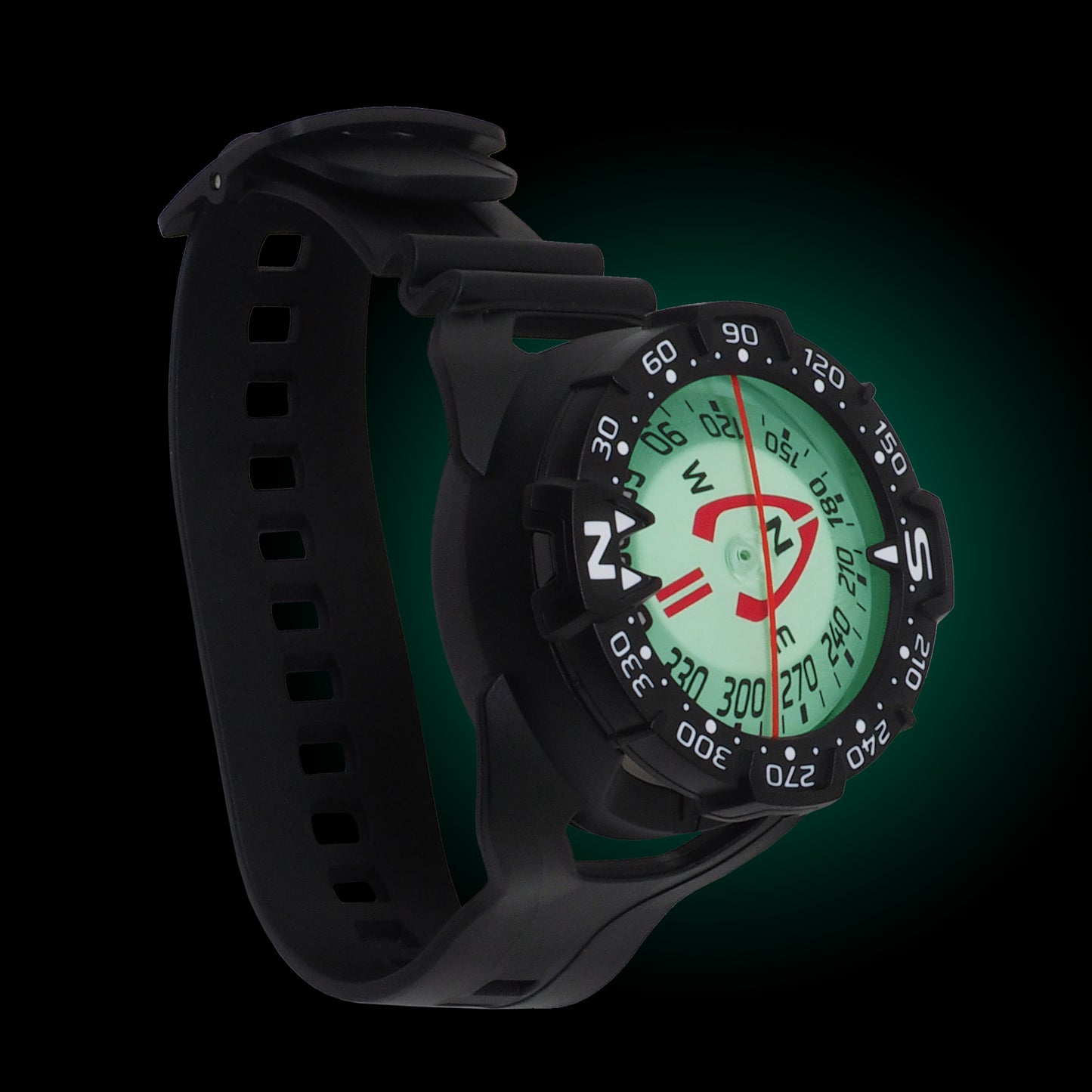 Wrist Compass