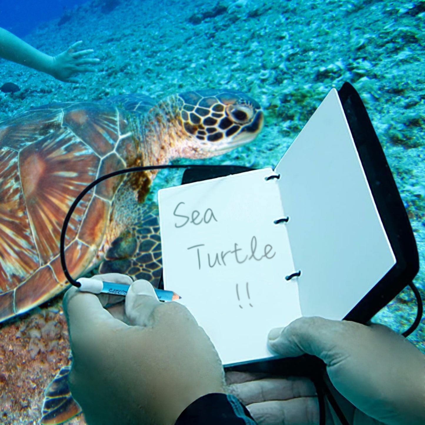 Deluxe Underwater Notebook