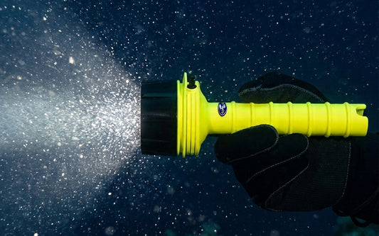 Dive Light Lumens: How Many Do You Need?