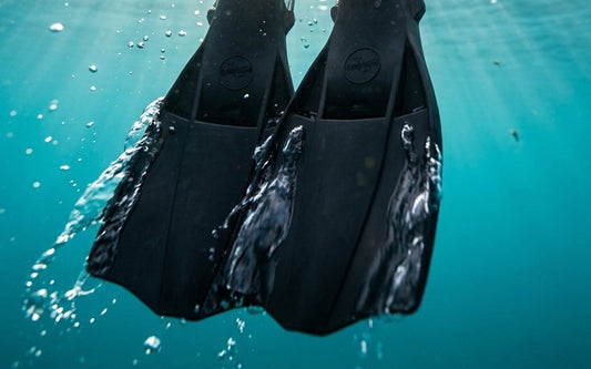 Rubber Dive Fins: Marine vs. Triton Compared
